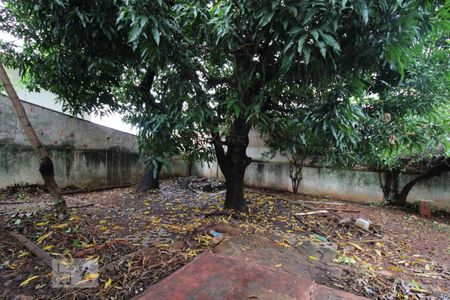 Casa à venda com 287m², 5 quartos e 6 vagasQuintal