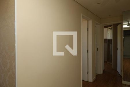 Corredor de apartamento para alugar com 2 quartos, 50m² em Vila Raquel, São Paulo