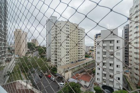 Vista Varanda de apartamento para alugar com 1 quarto, 53m² em Vila Guarani, São Paulo