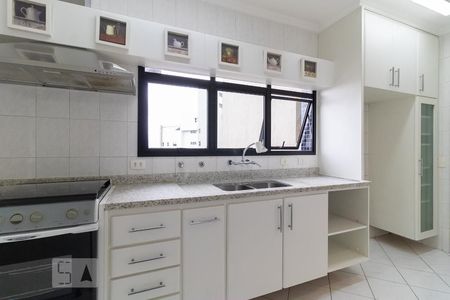 Apartamento à venda com 117m², 3 quartos e 2 vagasCozinha