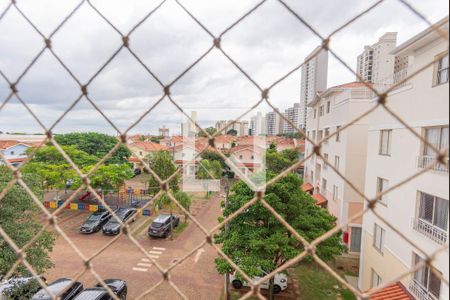 Vista da Suíte de apartamento para alugar com 3 quartos, 135m² em Jardim Nova Europa, Campinas