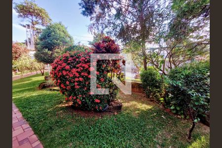 Casa à venda com 350m², 10 quartos e 4 vagas