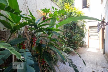 Casa à venda com 380m², 3 quartos e 2 vagas Casa à venda com 380m², 3 quartos e 2 vagasJardim de Inverno