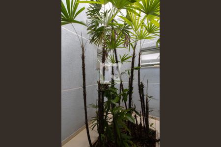 Casa à venda com 263m², 5 quartos e 3 vagasJardim de Inverno da Suíte 3