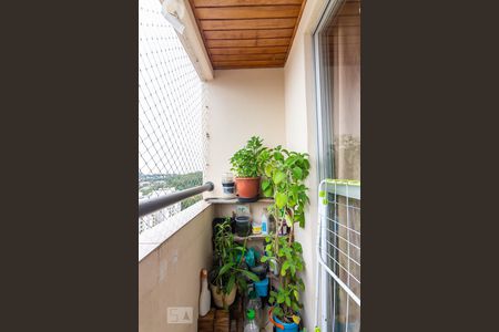 Varanda  de apartamento para alugar com 3 quartos, 67m² em Continental, Osasco