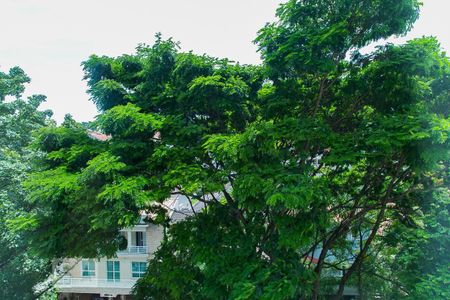 Apartamento à venda com 220m², 4 quartos e 3 vagas Apartamento à venda com 220m², 4 quartos e 3 vagasVista da sala de jantar