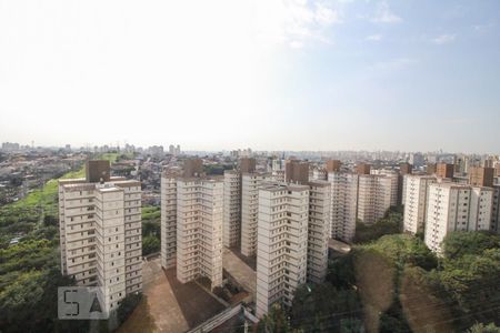 Vista Quarto 1 de apartamento para alugar com 2 quartos, 44m² em Jardim Iris, São Paulo
