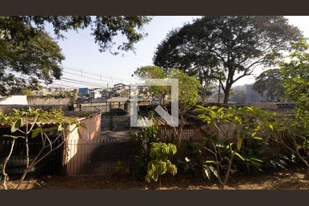 Vista do Quarto 1 de apartamento para alugar com 2 quartos, 49m² em Conjunto Habitacional Padre Manoel da Nóbrega, São Paulo