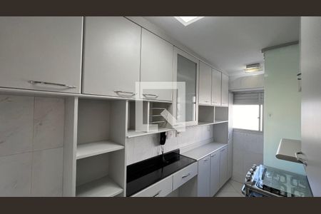 Apartamento para alugar com 43m², 1 quarto e 1 vagaCozinha - Armários