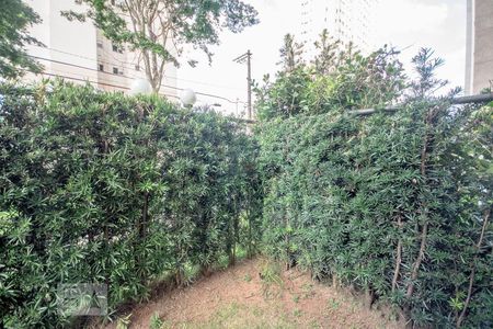 Apartamento à venda com 64m², 1 quarto e sem vagaQuintal