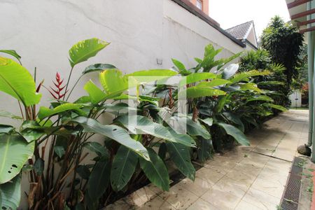 Casa para alugar com 300m², 5 quartos e 6 vagasQuintal lateral