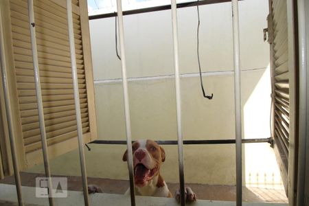 Casa à venda com 199m², 3 quartos e 2 vagasVista do Quarto 3