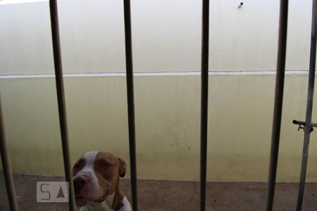 Casa à venda com 199m², 3 quartos e 2 vagasVista do Quarto 2