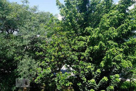 Vista da Sala de apartamento para alugar com 2 quartos, 52m² em Vila Silvia, São Paulo