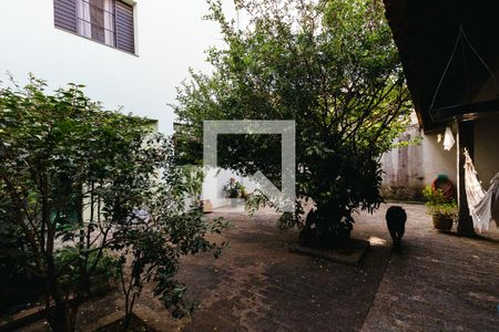 Casa à venda com 372m², 3 quartos e 4 vagasQuintal