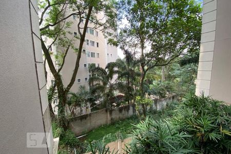 Apartamento para alugar com 70m², 3 quartos e 1 vaga Apartamento para alugar com 70m², 3 quartos e 1 vagaVista da Suíte 1