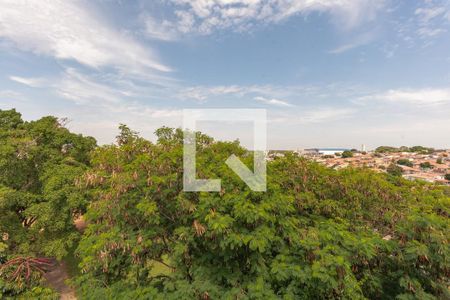 Apartamento à venda com 67m², 3 quartos e 1 vaga Apartamento à venda com 67m², 3 quartos e 1 vagaVista do Quarto 3