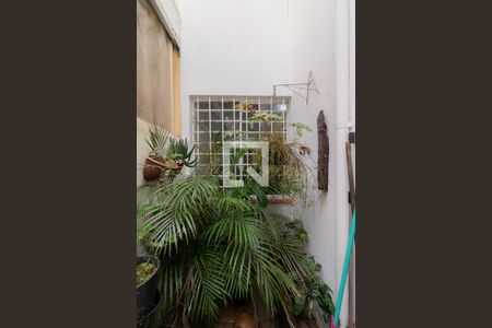 Casa à venda com 150m², 3 quartos e 2 vagas Casa à venda com 150m², 3 quartos e 2 vagasQuintal