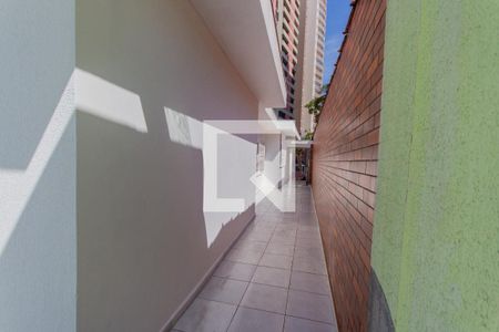 Casa à venda com 270m², 4 quartos e 3 vagasQuintal