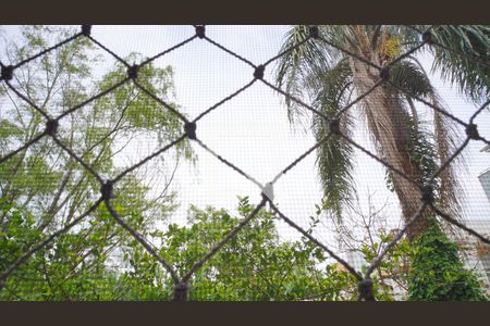 Vista do Quarto  de apartamento para alugar com 3 quartos, 96m² em Ingleses do Rio Vermelho, Florianópolis