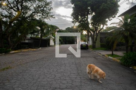 Casa à venda com 365m², 4 quartos e 4 vagas Casa à venda com 365m², 4 quartos e 4 vagasvista rua