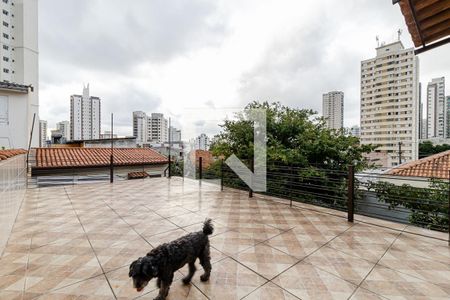 Casa à venda com 315m², 3 quartos e 2 vagasSacada da Suíte 2