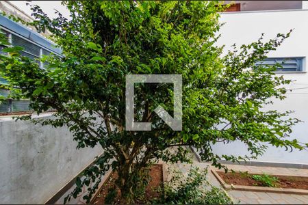 Casa à venda com 222m², 3 quartos e 3 vagasVista do Quarto de Serviço