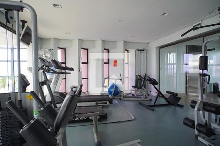 Apartamento à venda com 58m², 1 quarto e 1 vagaÁrea comum - Academia