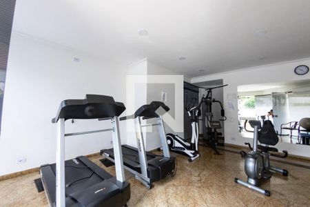 Apartamento à venda com 264m², 3 quartos e 4 vagas Apartamento à venda com 264m², 3 quartos e 4 vagasAcademia