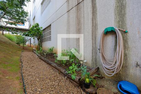 Apartamento para alugar com 67m², 2 quartos e 1 vaga Apartamento para alugar com 67m², 2 quartos e 1 vagaÁrea comum - Horta comunitária