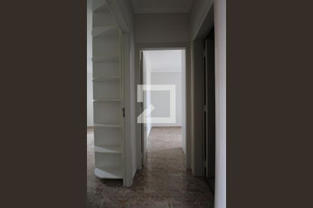 Corredor de apartamento para alugar com 2 quartos, 65m² em Vila Industrial (campinas), Campinas