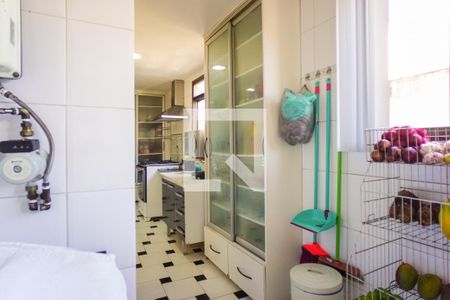 Apartamento para alugar com 550m², 5 quartos e 5 vagas Apartamento para alugar com 550m², 5 quartos e 5 vagasCozinha e Área de Serviço