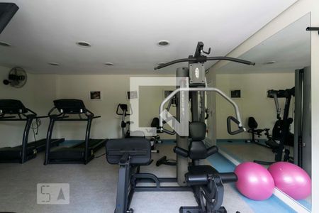 Apartamento para alugar com 62m², 2 quartos e 1 vaga Apartamento para alugar com 62m², 2 quartos e 1 vagaÁrea comum - Academia