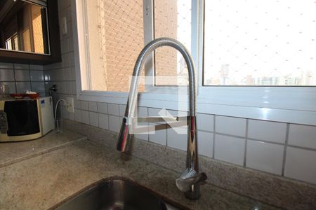 Apartamento à venda com 247m², 3 quartos e 4 vagasCozinha