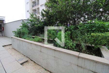 Apartamento à venda com 247m², 3 quartos e 4 vagasÁrea comum - Hortinha