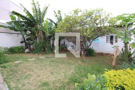 Casa à venda com 316m², 3 quartos e 6 vagasQuintal