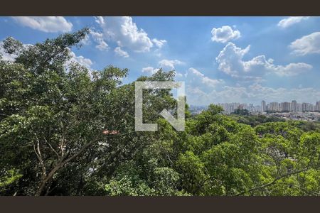 Varanda da Sala de apartamento para alugar com 2 quartos, 50m² em Boaçava, São Paulo