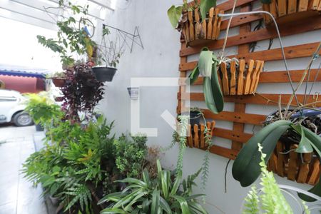 Casa para alugar com 300m², 4 quartos e 5 vagasQuintal