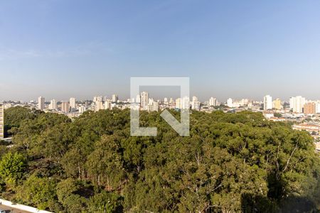 Vista do Quarto 1 de apartamento para alugar com 2 quartos, 62m² em Cidade Nova Heliópolis, São Paulo