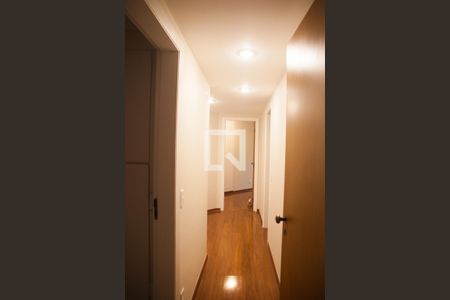 Corredor de apartamento para alugar com 3 quartos, 169m² em Santa Cecilia, São Paulo