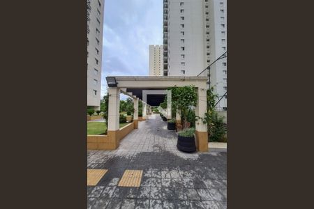 Apartamento à venda com 81m², 3 quartos e 1 vaga Apartamento à venda com 81m², 3 quartos e 1 vagaJardim