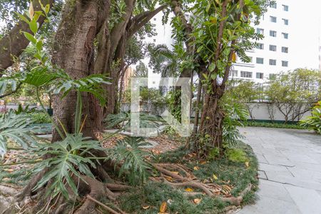 Apartamento para alugar com 62m², 2 quartos e 1 vagaÁrea comum