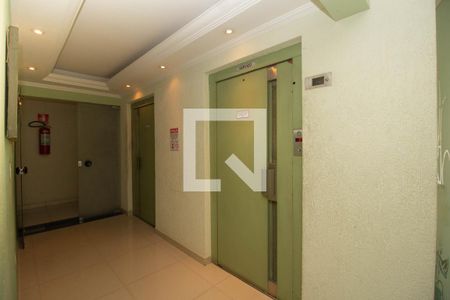 Apartamento para alugar com 65m², 3 quartos e 1 vagaHall social - Elevadores