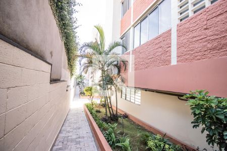 Apartamento à venda com 70m², 3 quartos e 1 vaga Apartamento à venda com 70m², 3 quartos e 1 vagaÁrea Comum