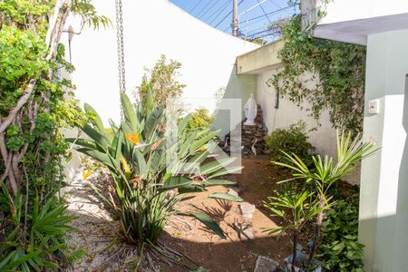 Casa à venda com 300m², 4 quartos e 2 vagasÁrea Externa