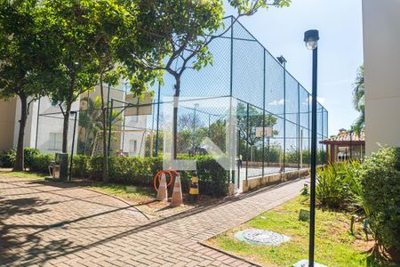 Apartamento para alugar com 56m², 2 quartos e 1 vaga Apartamento para alugar com 56m², 2 quartos e 1 vagaQuadra Esportiva