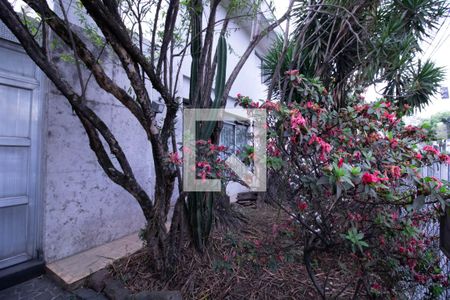 Casa para alugar com 379m², 5 quartos e 2 vagasJardim