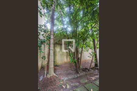 Casa à venda com 300m², 3 quartos e 3 vagas Casa à venda com 300m², 3 quartos e 3 vagasQuintal