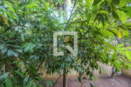 Casa à venda com 300m², 3 quartos e 3 vagas Casa à venda com 300m², 3 quartos e 3 vagasSuite 1 Vista