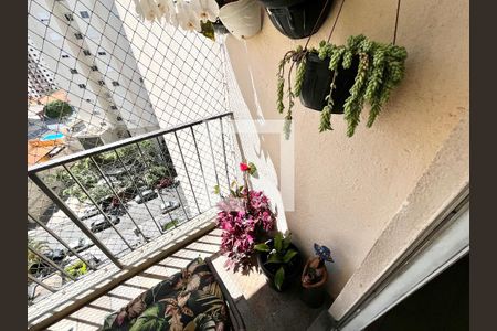 Varanda da Sala de apartamento para alugar com 3 quartos, 100m² em Santa Teresinha, São Paulo
